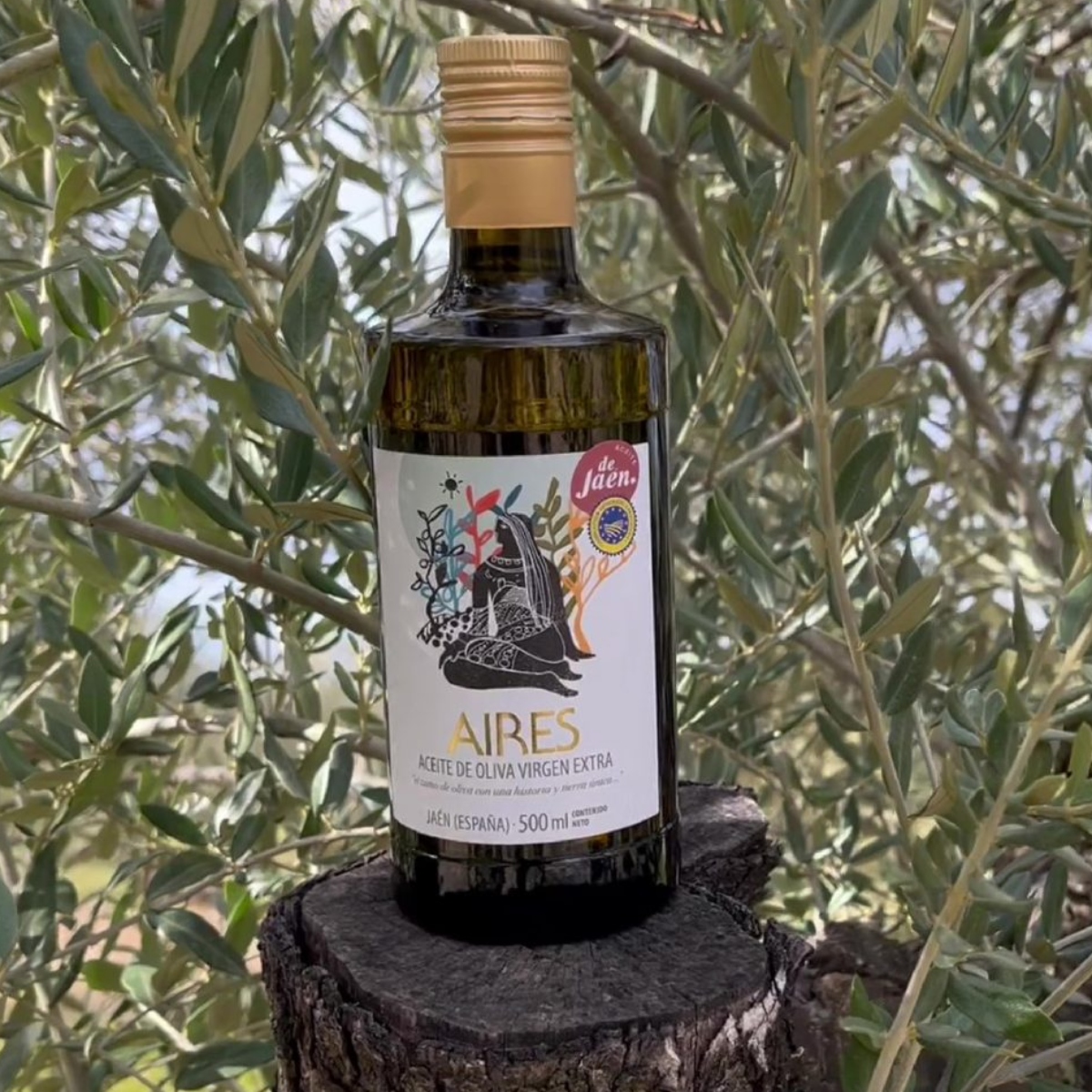 Aires Picual Olive Oil from Spain (500 ml) (2)