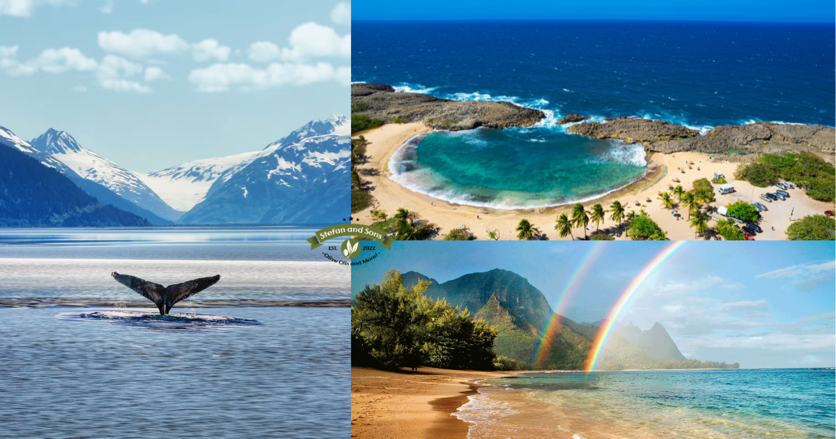 Now Shipping to Puerto Rico, Alaska & Hawaii | Stefan and Sons